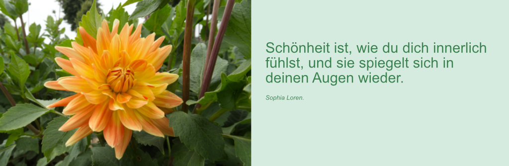ueber-mich Gabriele Scheffler